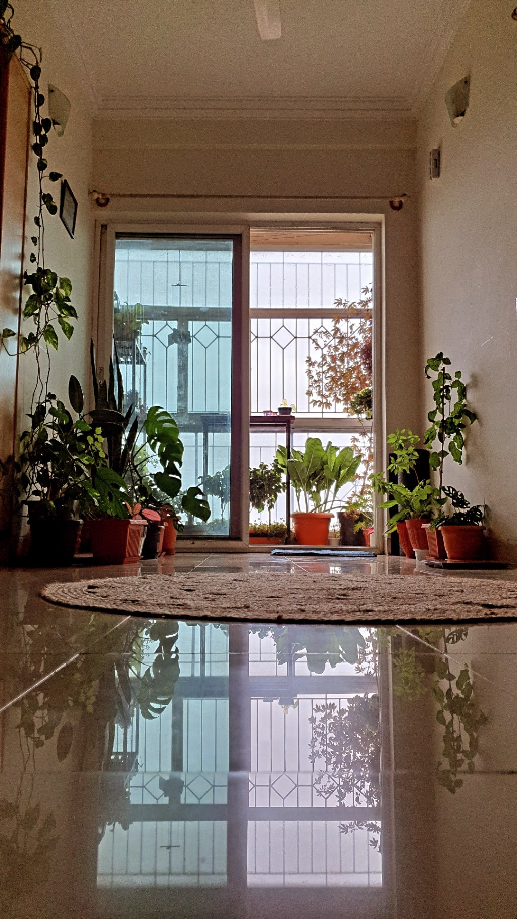 Sayonara mom and dad, I’m moving&nbsp;out!